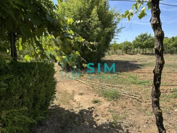Terreno para Venda em Azambujeira e Malaqueijo