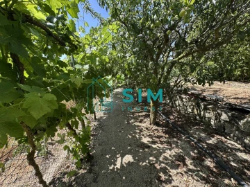 Terreno para Venda em Azambujeira e Malaqueijo