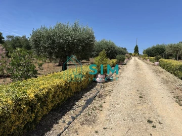 Terreno para Venda em Azambujeira e Malaqueijo