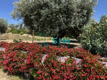 Terreno para Venda em Azambujeira e Malaqueijo