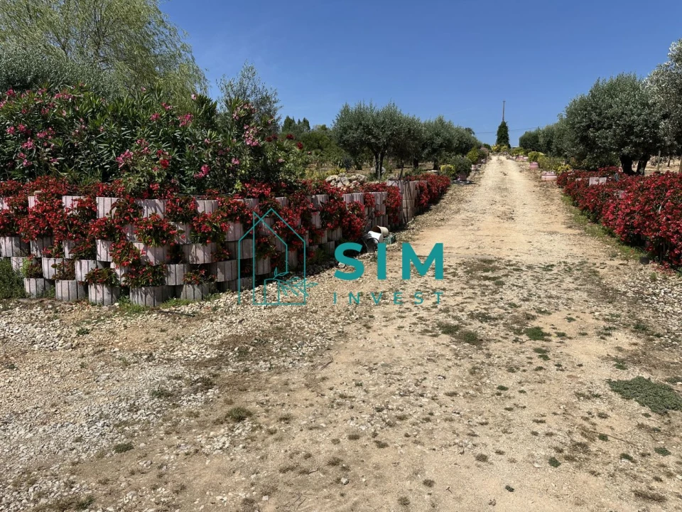 Terreno para Venda em Azambujeira e Malaqueijo Foto 18