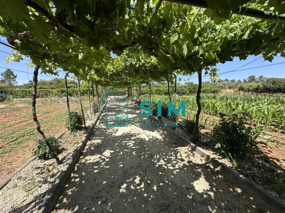 Terreno para Venda em Azambujeira e Malaqueijo Foto 37