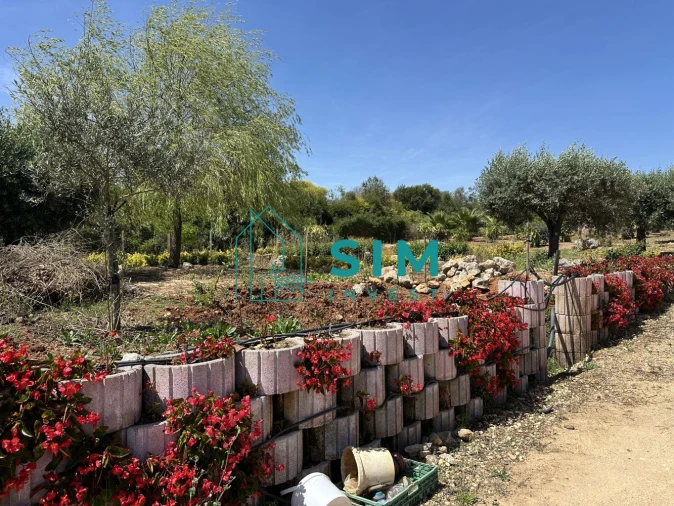 Terreno para Venda em Azambujeira e Malaqueijo Foto 20
