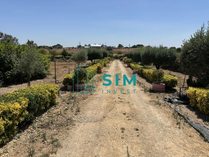 Terreno para Venda em Azambujeira e Malaqueijo Foto 16