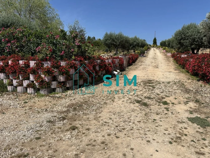Terreno para Venda em Azambujeira e Malaqueijo Foto 18