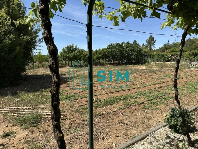 Terreno para Venda em Azambujeira e Malaqueijo Foto 38