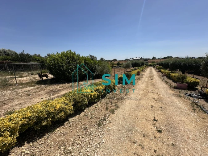 Terreno para Venda em Azambujeira e Malaqueijo Foto 11