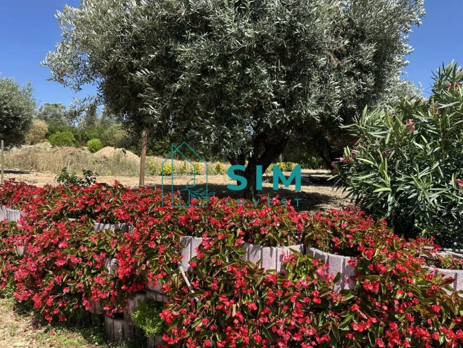 Terreno para Venda em Azambujeira e Malaqueijo Foto 22
