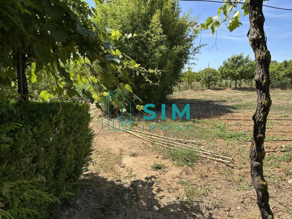 Terreno para Venda em Azambujeira e Malaqueijo Foto 39