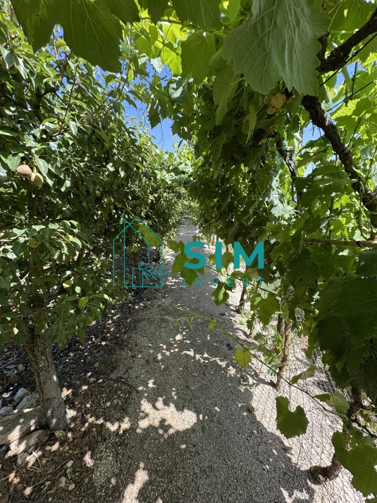 Terreno para Venda em Azambujeira e Malaqueijo Foto 41