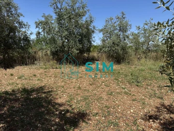 Terreno para Venda em Azambujeira e Malaqueijo