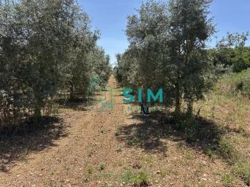 Terreno para Venda em Azambujeira e Malaqueijo