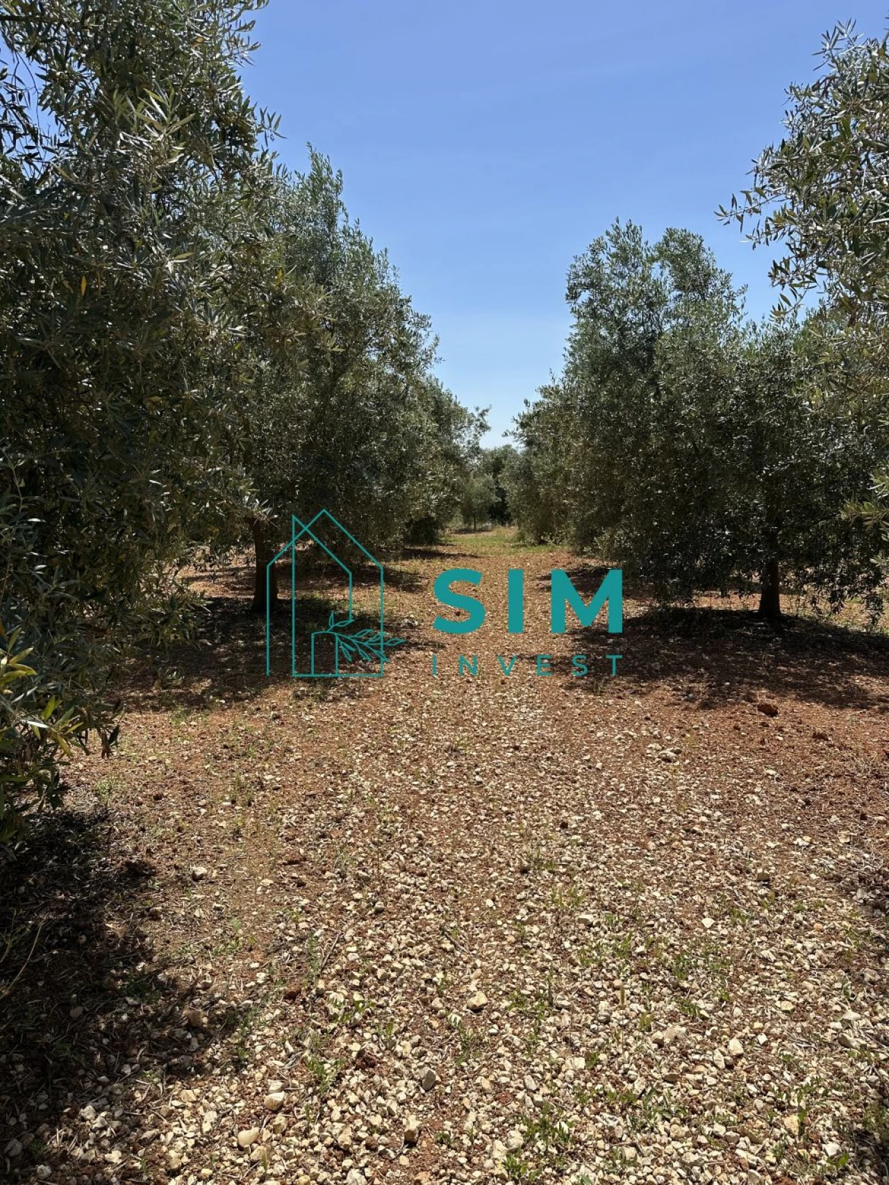 Terreno para Venda em Azambujeira e Malaqueijo Foto 25