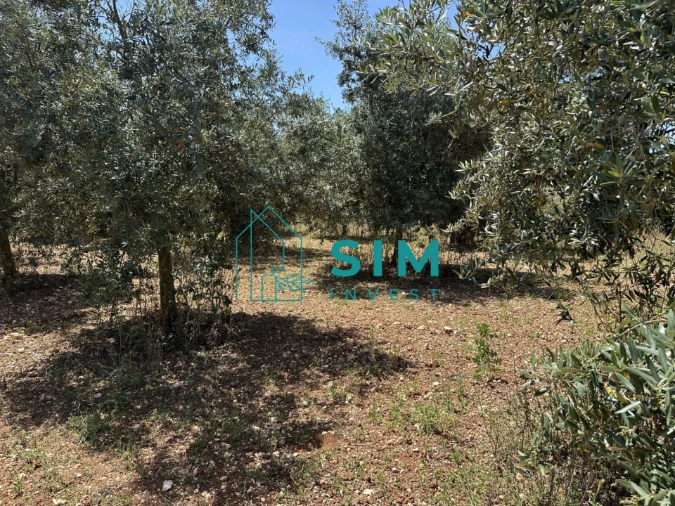 Terreno para Venda em Azambujeira e Malaqueijo Foto 12