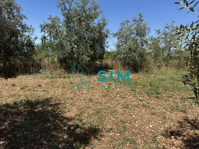Terreno para Venda em Azambujeira e Malaqueijo Foto 13