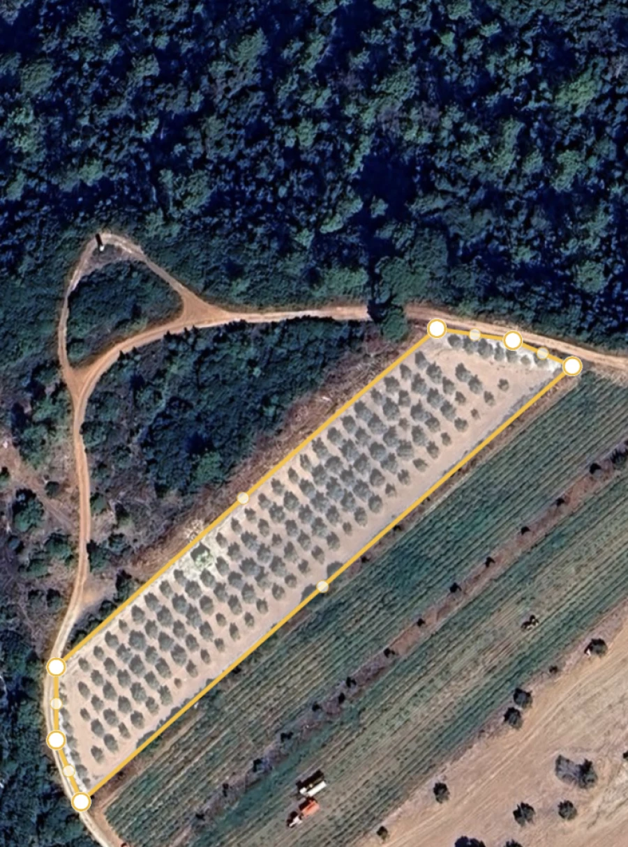 Terreno para Venda em Azambujeira e Malaqueijo Planta 1