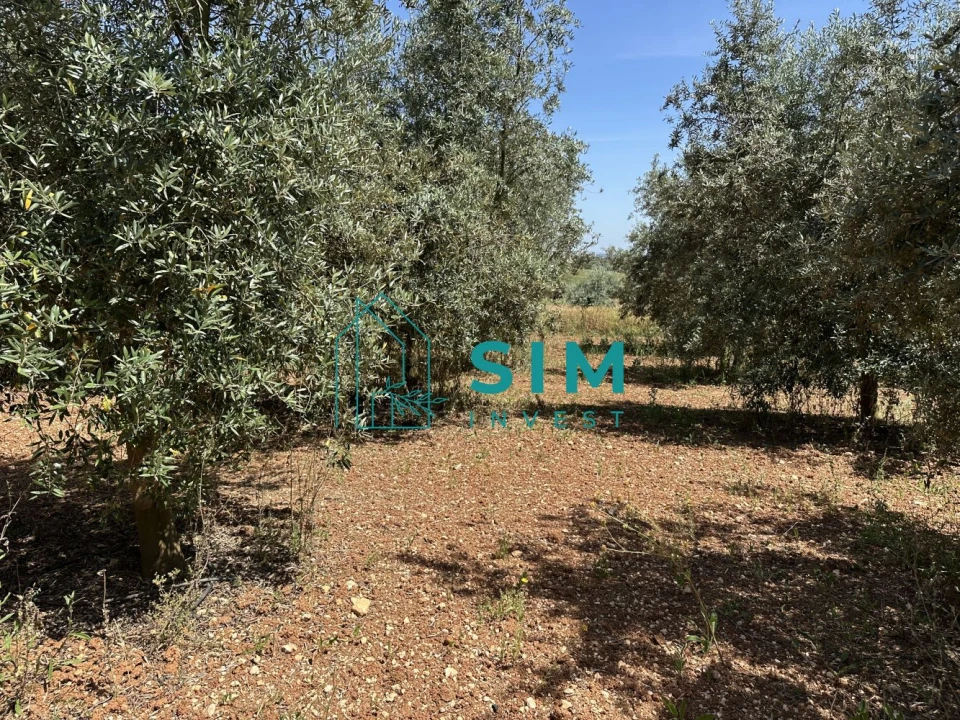 Terreno para Venda em Azambujeira e Malaqueijo Foto 18