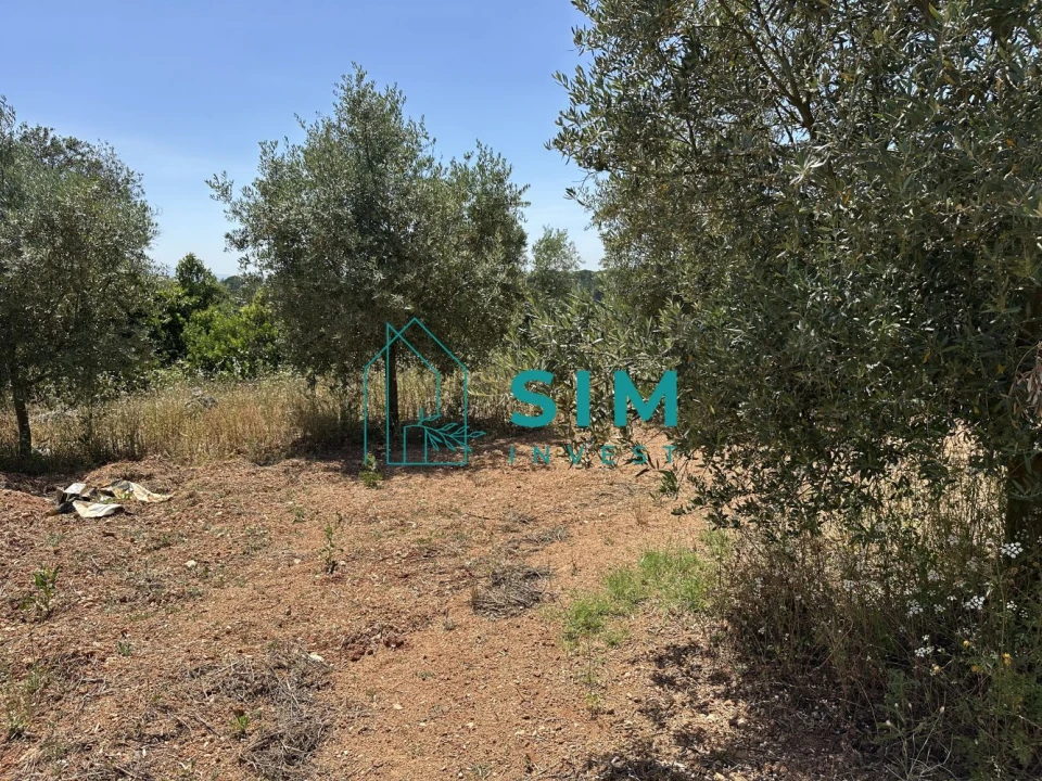 Terreno para Venda em Azambujeira e Malaqueijo Foto 9