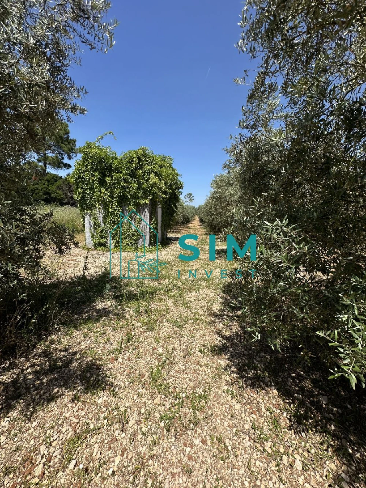 Terreno para Venda em Azambujeira e Malaqueijo Foto 27