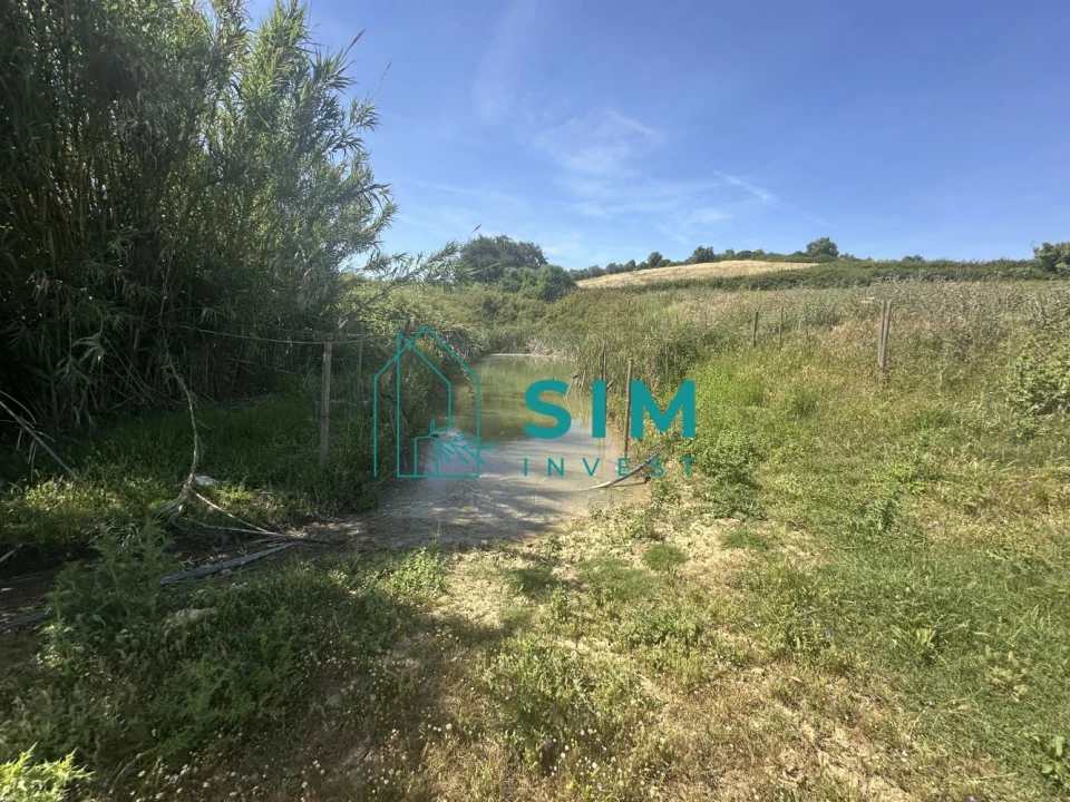 Moradia T2 para Venda em Azambujeira e Malaqueijo Foto 19