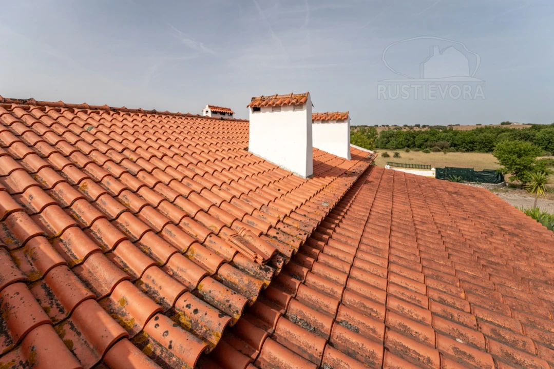 Quinta T4 para Venda em São Miguel de Machede Foto 21