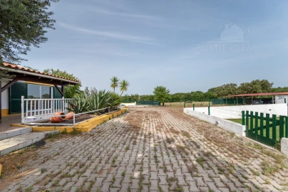 Quinta T4 para Venda em São Miguel de Machede