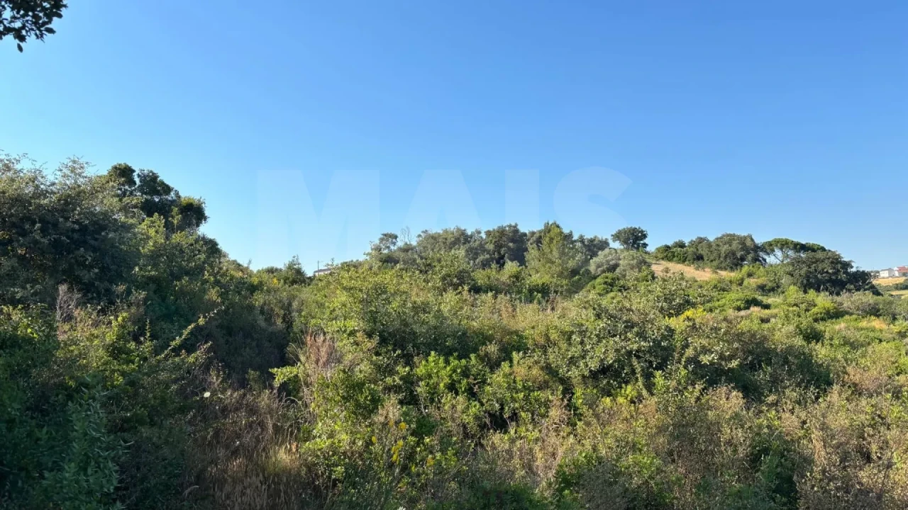 Terreno para Venda em Alhandra, São João dos Montes e Calhandriz Foto 4