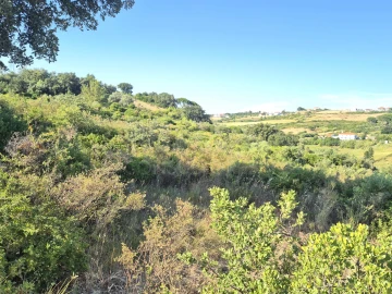 Terreno para Venda em Alhandra, São João dos Montes e Calhandriz