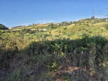 Terreno para Venda em Alhandra, São João dos Montes e Calhandriz