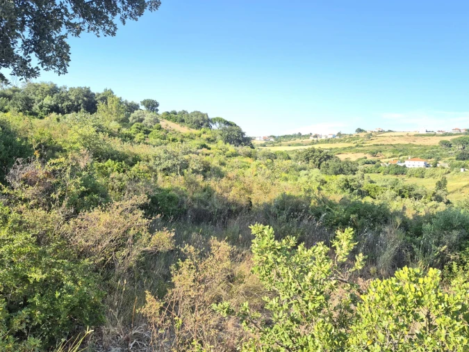 Terreno para Venda em Alhandra, São João dos Montes e Calhandriz Foto 9