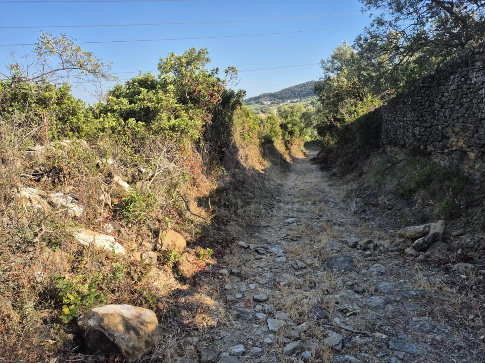 Terreno para Venda em Alhandra, São João dos Montes e Calhandriz Foto 7