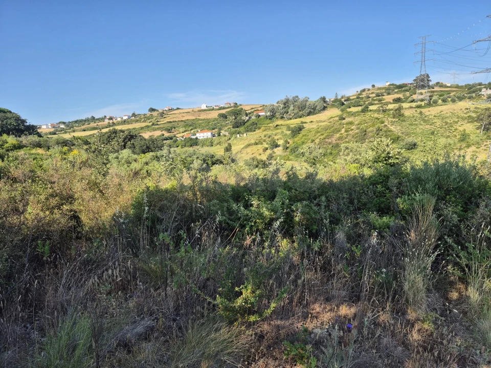 Terreno para Venda em Alhandra, São João dos Montes e Calhandriz Foto 6