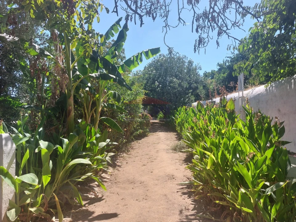 Quinta T2 para Venda em Nossa Senhora da Conceição, São Brás dos Matos, Juromenha Foto 12