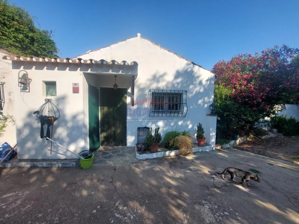 Quinta T2 para Venda em Nossa Senhora da Conceição, São Brás dos Matos, Juromenha Foto 33