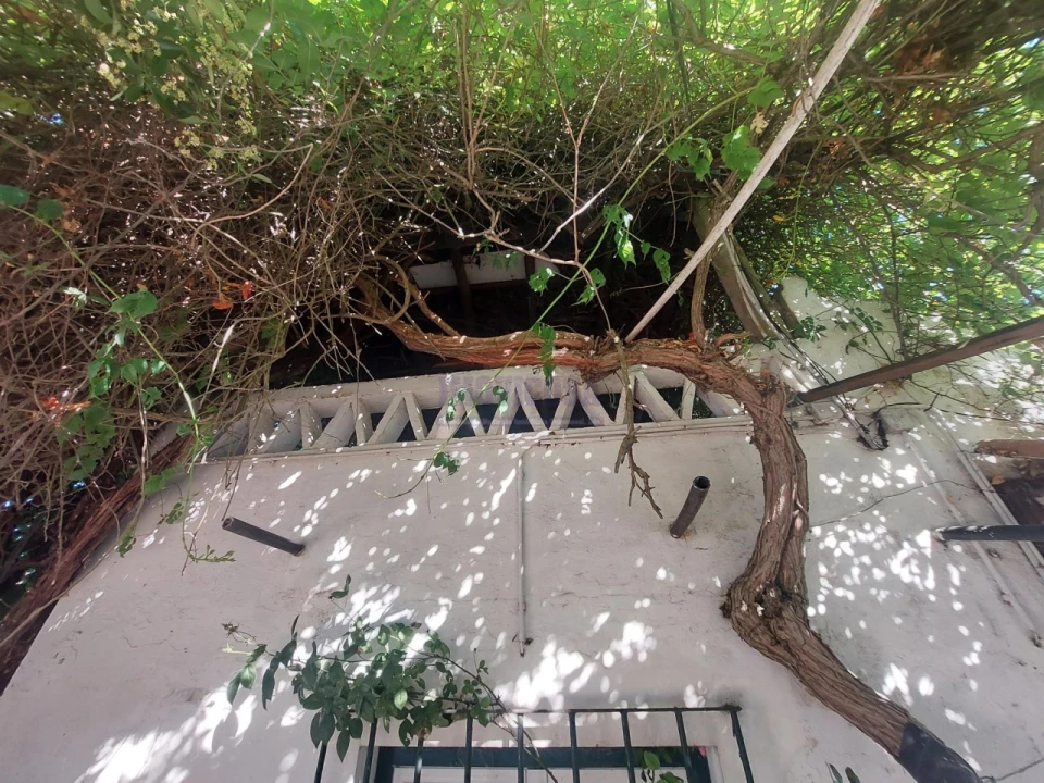 Quinta T2 para Venda em Nossa Senhora da Conceição, São Brás dos Matos, Juromenha Foto 35