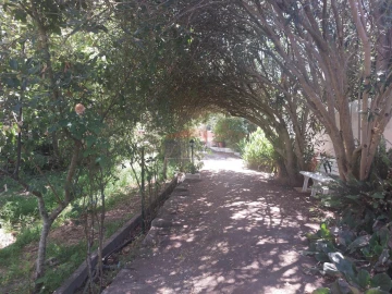 Quinta T2 para Venda em Nossa Senhora da Conceição, São Brás dos Matos, Juromenha