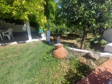 Quinta T2 para Venda em Nossa Senhora da Conceição, São Brás dos Matos, Juromenha