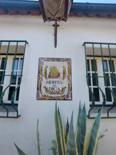 Quinta T2 para Venda em Nossa Senhora da Conceição, São Brás dos Matos, Juromenha