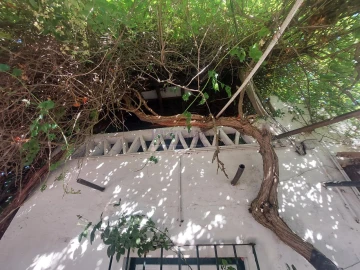 Quinta T2 para Venda em Nossa Senhora da Conceição, São Brás dos Matos, Juromenha