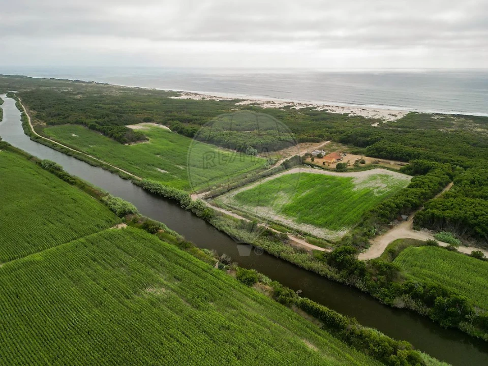 Moradia T3 para Venda em Praia de Mira Foto 2