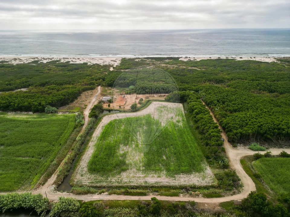 Moradia T3 para Venda em Praia de Mira Foto 4