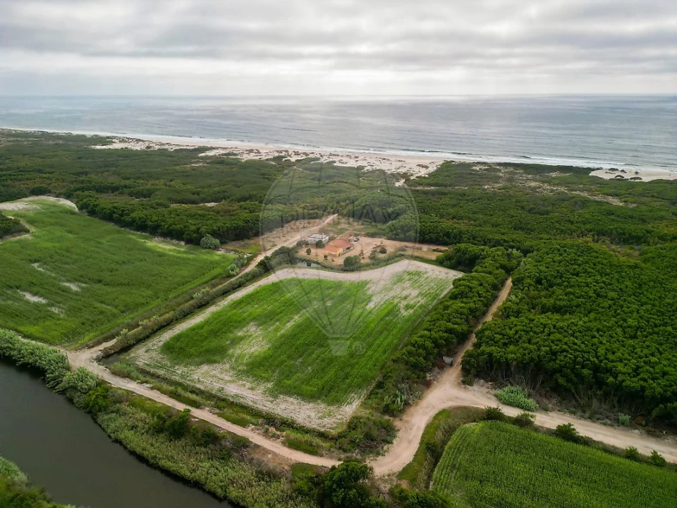 Moradia T3 para Venda em Praia de Mira Foto 1