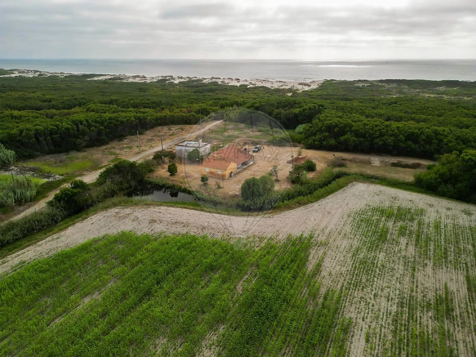 Moradia T3 para Venda em Praia de Mira Foto 12