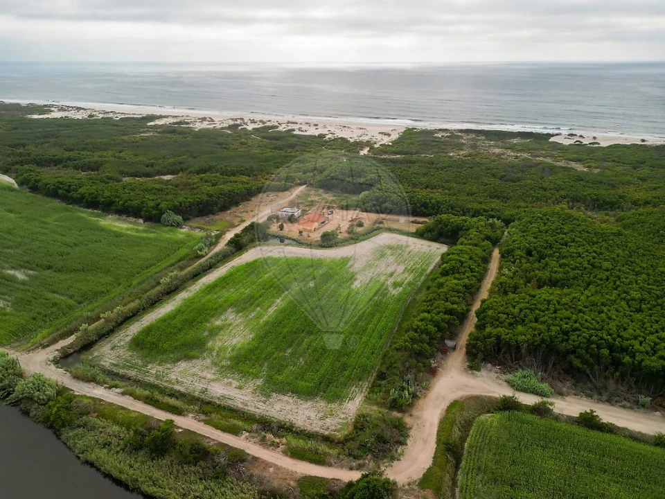 Moradia T3 para Venda em Praia de Mira Foto 3