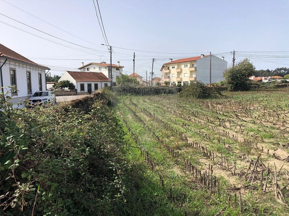 Terreno para Venda em Ovar, São João, Arada e São Vicente de Pereira Jusã Foto 3
