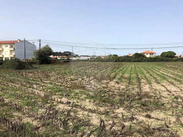 Terreno para Venda em Ovar, São João, Arada e São Vicente de Pereira Jusã