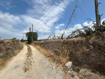 Terreno para Venda em Ovar, São João, Arada e São Vicente de Pereira Jusã