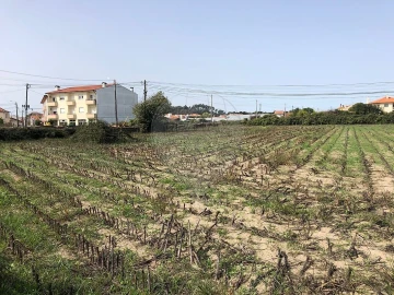 Terreno para Venda em Ovar, São João, Arada e São Vicente de Pereira Jusã