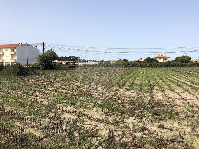 Terreno para Venda em Ovar, São João, Arada e São Vicente de Pereira Jusã Foto 2