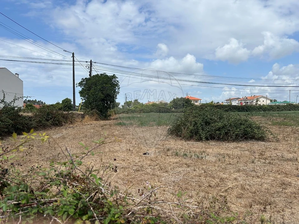 Terreno para Venda em Ovar, São João, Arada e São Vicente de Pereira Jusã Foto 8